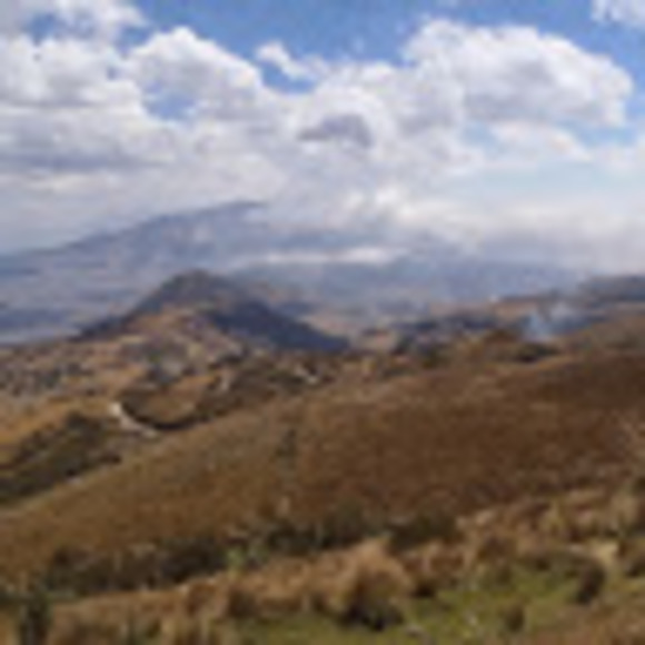 Meet your Posher, Elaine - Picture 1 of 1